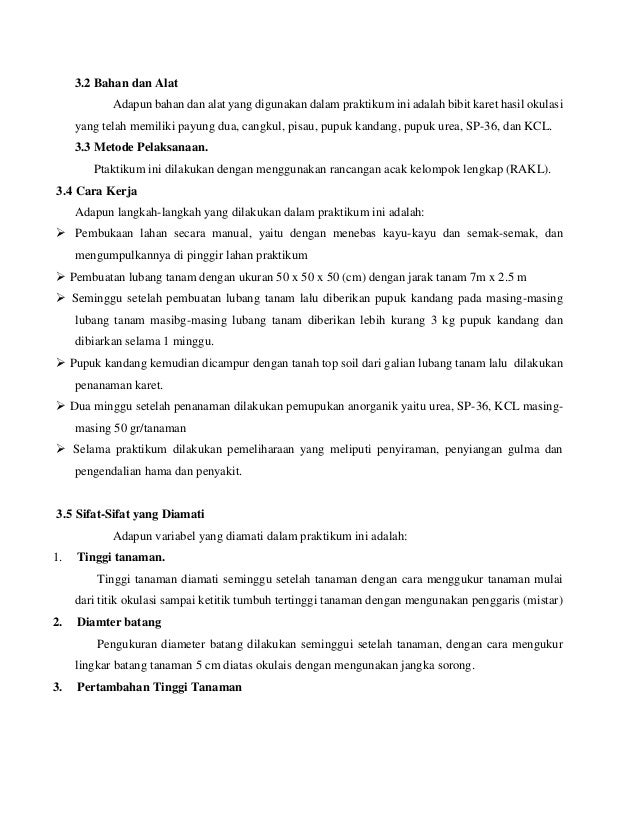 Laporan produksi tanaman industri lengkap