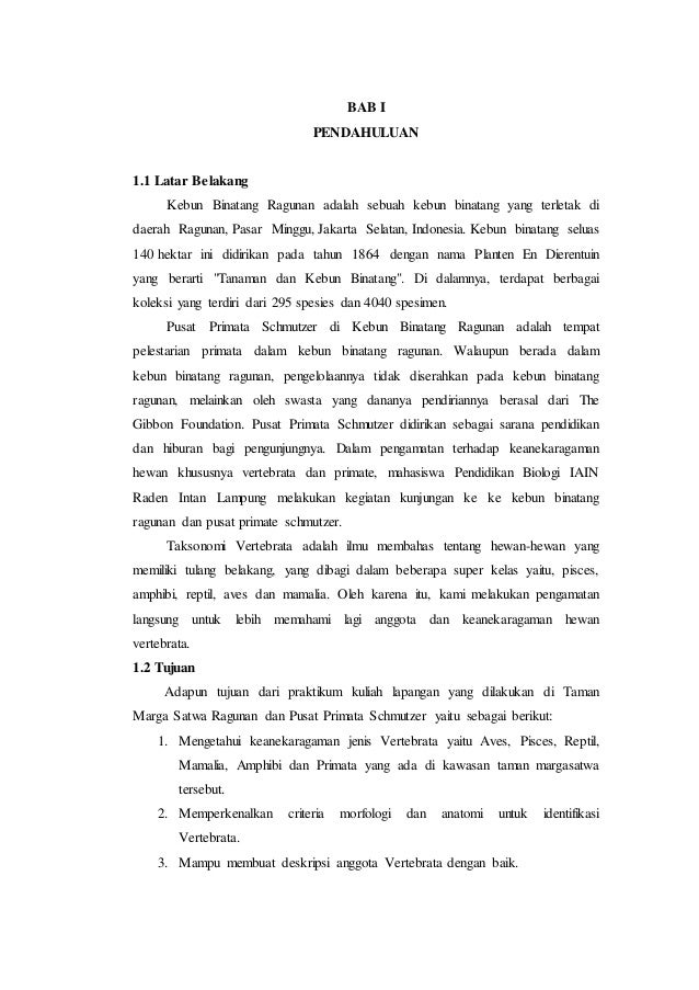 Teks Laporan Hasil Observasi Tentang Hewan Kelinci Berbagai Teks Penting