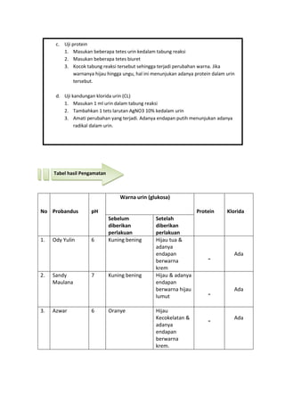No Probandus pH
Warna urin (glukosa)
Protein Klorida
Sebelum
diberikan
perlakuan
Setelah
diberikan
perlakuan
1. Ody Yulin 6 Kuning bening Hijau tua &
adanya
endapan
berwarna
krem
-
Ada
2. Sandy
Maulana
7 Kuning bening Hijau & adanya
endapan
berwarna hijau
lumut -
Ada
3. Azwar 6 Oranye Hijau
Kecokelatan &
adanya
endapan
berwarna
krem.
- Ada
Tabel hasil Pengamatan
c. Uji protein
1. Masukan beberapa tetes urin kedalam tabung reaksi
2. Masukan beberapa tetes biuret
3. Kocok tabung reaksi tersebut sehingga terjadi perubahan warna. Jika
warnanya hijau hingga ungu, hal ini menunjukan adanya protein dalam urin
tersebut.
d. Uji kandungan klorida urin (CL)
1. Masukan 1 ml urin dalam tabung reaksi
2. Tambahkan 1 tets larutan AgNO3 10% kedalam urin
3. Amati perubahan yang terjadi. Adanya endapan putih menunjukan adanya
radikal dalam urin.
 