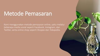 promosi bisnis tanaman hias melalui media sosial