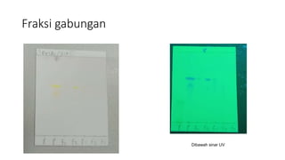 Fraksi gabungan
Dibawah sinar UV
 