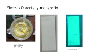Sintesis O-acetyl-γ-mangostin
Dibawah sinar UV
Kp2 = 32,9 mg
P2 = 22 mg
 