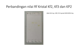 Perbandingan nilai Rf Kristal Kf2, Kf3 dan KP2
(Kp2) 32,9 mg, ( Kf2) 10.5 mg dan 60-90 (Kf3) 8 mg
 