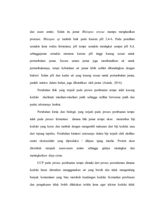 dan asam amino. Selain itu jamur Rhizopus oryzae mampu menghasilkan
protease. Rhizopus sp tumbuh baik pada kisaran pH 3,4-6. Pada penelitian
semakin lama waktu fermentasi, pH tempe semakin meningkat sampai pH 8,4,
sehinggajamur semakin menurun karena pH tinggi kurang sesuai untuk
pertumbuhan jamur. Secara umum jamur juga membutuhkan air untuk
pertumbuhannya, tetapi kebutuhan air jamur lebih sedikit dibandingkan dengan
bakteri. Selain pH dan kadar air yang kurang sesuai untuk pertumbuhan jamur,
jumlah nutrien dalam bahan, juga dibutuhkan oleh jamur (Azizah, 2014).
Perubahan fisik yang terjadi pada proses pembuatan tempe ialah kacang
kedelai diselimuti miselium-miselium putih sehingga terlihat berwarna putih dan
padat, teksturnya lembut.
Perubahan kimia dan biologis yang terjadi pada proses pembuatan tempe
ialah pada proses fermentasi dimana hifa jamur tempe akan menembus biji
kedelai yang keras dan tumbuh dengan mengambil makanan dari biji kedelai atau
dari tepung tapioka. Perubahan kimiawi seterusnya dalam biji terjadi oleh aktifitas
enzim ekstraseluler yang diproduksi / dilepas ujung miselia. Protein akan
dirombak menjadi asam-asam amino sehingga gizinya meningkat dan
meningkatkan daya cerna.
CCP pada proses pembuatan tempe dimulai dari proses perendaman dimana
kedelai harus direndam mengggunakan air yang bersih dan tidak mengandung
banyak kontaminan yang bisa merubah kandungan kedelai. Kemudian perebusan
dan pengukusan tidak boleh dilakukan terlalu lama agar tekstur kedelai tidak
 