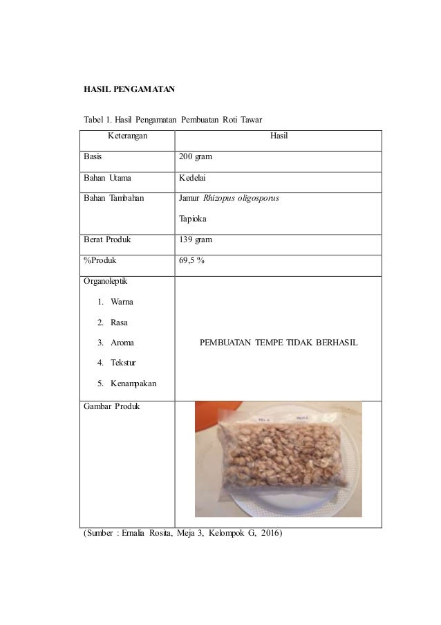 Laporan Praktikum Tempe