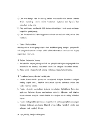 a) Otot atria: Sangat tipis dan kurang teratur, disusun oleh dua lapisan. Lapisan
dalam mencakup serabut-serabut berbentuk lingkaran dan lapisan luar
mencakup kedua atria.
b) Otot ventrikuler: membentuk bilik jantung dimulai dari cincin antrioventikuler
sampai ke apeks jantung.
c) Otot atrioventrikuler: Dinding pemisah antara serambi dan bilik( atrium dan
ventrikel).
 Dalam / Endokardium
Dinding dalam atrium yang diliputi oleh membrane yang mengilat yang terdiri
dari jaringan endotel atau selaput lender endokardium kecuali aurikula dan bagian
depan sinus vena kava.
 Bagian- bagian dari jantung:
a. Basis kordis: bagian jantung sebelah atas yang berhubungan dengan pembuluh
darah besar dan dibentuk oleh atrium sinistra dan sebagian oleh atrium dekstra.
b. Apeks kordis : bagian bawah jantung berbentuk puncak kerucut tumpul.
 Permukaan jantung (fascies kordis) yaitu:
a. Fascies sternokostalis: permukaan menghadap kedepan berbatasan dengan
dinding depan toraks, dibentuk oleh atrium dekstra, ventrikel dekstra dan
sedikit ventrikel sinistra.
b. Fascies dorsalis: permukaan jantung menghadap kebelakang berbentuk
segiempat berbatas dengan mediastinum posterior, dibentuk oleh dinding
atrium sinistra, sebgain atrium sinistra dan sebgain kecil dinding ventrikel
sinistra.
c. Fascies diafragmatika: permukaan bagian bawah jantung yang bebatas dengan
stentrum tindinium diafragma dibentuk oleh dinding ventrikel sinistra dan
sebagian kecil ventrikel dekstra.
 Tepi jantung( margo kordis) yaitu:
 