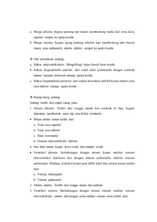a. Margo dekstra: bagian jantung tepi kanan membentang mulai dari vena kava
superior sampai ke apeks kordis
b. Margo sinistra: bagian ujung jantung sebelah tepi membentang dari bawah
muara vena pulmonalis sinistra inferior sampai ke apeks kordis.
 Alur permukaan jantung:
a. Sulkus atrioventrikularis: Mengelilingi batas bawah basis kordis
b. Sulkus langitudinalis anterior: dari celah arteri pulmonalis dengan aurikula
sinistra berjalan kebawah menuju apeks kordis.
c. Sulkus langitudinals posterior: dari sulkus koronaria sebelah kanan muara vena
cava inferior menuju apeks kordis.
 Ruang-ruang jantung
Jantung terdiri dari empat ruang yaitu:
1. Atrium dekstra: Terdiri dari rongga utama dan aurikula di luar, bagian
dalamnya membentuk suatu rigi atau Krista terminalis.
 Muara atrium kanan terdiri dari:
a. Vena cava superior
b. Vena cava inferior
c. Sinus koronarius
d. Osteum atrioventrikuler dekstra
 Sisa fetal atrium kanan: fossa ovalis dan annulus ovalis
 Ventrikel dekstra: berhubungan dengan atrium kanan melalui osteum
atrioventrikel dekstrum dan dengan traktus pulmonalis melalui osteum
pulmonalis. Dinding ventrikel kanan jauh lebih tebal dari atrium kanan terdiri
dari:
a. Valvula triskuspidal
b. Valvula pulmonalis
2. Atrium sinistra: Terdiri dari rongga utama dan aurikula
3. Ventrikel sinistra: Berhubungan dengan atrium sinistra melalui osteum
atrioventrikuler sinistra dan dengan aorta melalui osteum aorta terdiri dari:
 