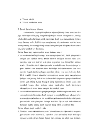 a. Valvula mitralis
b. Valvula semilunaris aorta
 Fungsi Kerja Jantung Manusia
Pemisahan ini sangat penting karena separuh jantung kanan menerima dan
juga memompa darah yang mengandung oksigen rendah sedangkan sisi jantung
sebelah kiri adalah berfungsi untuk memompa darah yang mengandung oksigen
tinggi. Jantung terdiri dari beberapa ruang jantung yaitu atrium dan ventrikel yang
masing-masing dari ruang jantung tersebut dibagi menjadi dua yaitu atrium kanan
kiri, serta ventrikel kiri dan kanan.
Berikut fungsi dari masing-masing atrium jantung, yaitu :
1. Atrium kanan berfungsi sebagai penampungan (reservoir) darah yang rendah
oksigen dari seluruh tubuh. Darah tersebut mengalir melalui vena kava
superior, vena kava inferior, serta sinus koronarius yang berasal dari jantung
sendiri. Kemudian darah dipompakan ke ventrikel kanan dan selanjutnya ke
paru. Atrium kanan menerima darah de-oksigen dari tubuh melalui vena kava
superior (kepala dan tubuh bagian atas) dan inferior vena kava (kaki dan dada
lebih rendah). Simpul sinoatrial mengirimkan impuls yang menyebabkan
jaringan otot jantung dari atrium berkontraksi dengan cara yang terkoordinasi
seperti gelombang. Katup trikuspid yang memisahkan atrium kanan dari
ventrikel kanan, akan terbuka untuk membiarkan darah de-oksigen
dikumpulkan di atrium kanan mengalir ke ventrikel kanan
2. Atrium kiri menerima darah yang kaya oksigen dari kedua paru melalui 4 buah
vena pulmonalis. Kemudian darah mengalir ke ventrikel kiri dan selanjutnya ke
seluruh tubuh melalui aorta. Atrium kiri menerima darah beroksigen dari paru-
paru melalui vena paru-paru. Sebagai kontraksi dipicu oleh node sinoatrial
kemajuan melalui atrium, darah melewati katup mitral ke ventrikel kiri.
Berikut adalah fungsi ventrikel, yaitu :
1. Ventrikel kanan menerima darah dari atrium kanan dan dipompakan ke paru-
paru melalui arteri pulmonalis. Ventrikel kanan menerima darah deoksigen
sebagai kontrak atrium kanan. Katup paru menuju ke arteri paru tertutup,
 