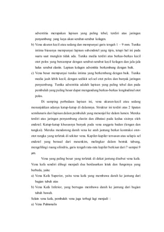 adventitia merupakan lapisan yang paling tebal, terdiri atas jaringan
penyambung yang kaya akan serabut-serabut kolagen.
b) Vena ukuran kecil atau sedang dan mempunyai garis tengah 1 – 9 mm. Tunika
intima biasanya mempunyai lapisan subendotel yang tipis, tetapi hal ini pada
suatu saat mungkin tidak ada. Tunika media terdiri atas berkas-berkas kecil
otot polos yang bercampur dengan serabut-serabut kecil kolagen dan jala-jala
halus serabut elastin. Lapisan kolagen adventitia berkembang dengan baik.
c) Vena besar mempunyai tunika intima yang berkembang dengan baik. Tunika
media jauh lebih kecil, dengan sedikit sel-sel otot polos dan banyak jaringan
penyambung. Tunika adventitia adalah lapisan yang paling tebal dan pada
pembuluh yang paling besar dapat mengandung berkas-berkas longitudinal otot
polos.
Di samping perbedaan lapisan ini, vena ukuran-kecil atau sedang
menunjukkan adanya katup-katup di dalamnya. Struktur ini terdiri atas 2 lipatan
semilunaris dari lapisan dalam pembuluh yang menonjol ke dalam lumen. Mereka
terdiri atas jaringan penyambung elastin dan dibatasi pada kedua sisinya oleh
endotel. Katup-katup khususnya banyak pada vena anggota badan (lengan dan
tungkai). Mereka mendorong darah vena ke arah jantung berkat kontraksi otot-
otot rangka yang terletak di sekitar vena. Kapiler-kapiler tersusun atas selapis sel
endotel yang berasal dari mesenkim, melingkar dalam bentuk tabung,
mengelilingi ruang silindris, garis tengah rata-rata kapiler berkisar dari 7 sampai 9
µm.
Vena yang paling besar yang terletak di dekat jantung disebut vena kafa.
Vena kafa sendiri dibagi menjadi dua berdasarkan letak dan fungsinya yang
berbeda, yaitu:
a) Vena Kafa Superior, yaitu vena kafa yang membawa darah ke jantung dari
bagian tubuh atas
b) Vena Kafa Inferior, yang bertugas membawa darah ke jantung dari bagian
tubuh bawah.
Selain vena kafa, pembuluh vena juga terbagi lagi menjadi :
a) Vena Pulmonalis
 