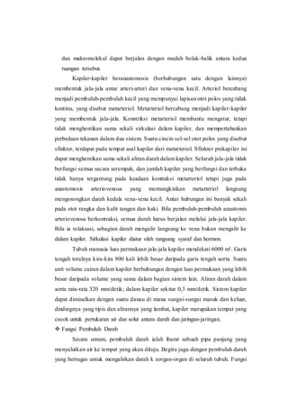 dan makromolekul dapat berjalan dengan mudah bolak-balik antara kedua
ruangan tersebut.
Kapiler-kapiler beranastomosis (berhubungan satu dengan lainnya)
membentuk jala-jala antar arteri-arteri dan vena-vena kecil. Arteriol bercabang
menjadi pembuluh-pembuluh kecil yang mempunyai lapisan otot polos yang tidak
kontinu, yang disebut metarteriol. Metarteriol bercabang menjadi kapiler-kapiler
yang membentuk jala-jala. Konstriksi metarteriol membantu mengatur, tetapi
tidak menghentikan sama sekali sirkulasi dalam kapiler, dan mempertahankan
perbedaan tekanan dalam dua sistem. Suatu cincin sel-sel otot polos yang disebut
sfinkter, terdapat pada tempat asal kapiler dari metarteriol. Sfinkter prekapiler ini
dapat menghentikan sama sekali aliran darah dalam kapiler. Seluruh jala-jala tidak
berfungsi semua secara serempak, dan jumlah kapiler yang berfungsi dan terbuka
tidak hanya tergantung pada keadaan kontraksi metarteriol tetapi juga pada
anastomosis arteriovenosa yang memungkinkan metarteriol langsung
mengosongkan darah kedala vena-vena kecil. Antar hubungan ini banyak sekali
pada otot rangka dan kulit tangan dan kaki. Bila pembuluh-pembuluh anastomis
arteriovenosa berkontraksi, semua darah harus berjalan melalui jala-jala kapiler.
Bila ia relaksasi, sebagian darah mengalir langsung ke vena bukan mengalir ke
dalam kapiler. Sirkulasi kapiler diatur oleh rangsang syaraf dan hormon.
Tubuh manusia luas permukaan jala-jala kapiler mendekati 6000 m². Garis
tengah totalnya kira-kira 800 kali lebih besar daripada garis tengah aorta. Suatu
unit volume cairan dalam kapiler berhubungan dengan luas permukaan yang lebih
besar daripada volume yang sama dalam bagian sistem lain. Aliran darah dalam
aorta rata-rata 320 mm/detik; dalam kapiler sekitar 0,3 mm/detik. Sistem kapiler
dapat dimisalkan dengan suatu danau di mana sungai-sungai masuk dan keluar,
dindingnya yang tipis dan alirannya yang lambat, kapiler merupakan tempat yang
cocok untuk pertukaran air dan solut antara darah dan jaringan-jaringan.
 Fungsi Pembuluh Darah
Secara umum, pembuluh darah ialah ibarat sebuah pipa panjang yang
menyalurkan air ke tempat yang akan dituju. Begitu juga dengan pembuluh darah
yang bertugas untuk mengalirkan darah k eorgan-organ di seluruh tubuh. Fungsi
 