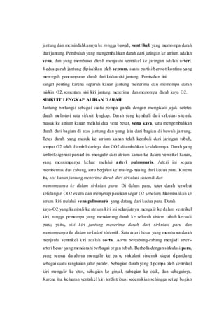 jantung dan memindahkannya ke rongga bawah, ventrikel, yang memompa darah
dari jantung. Pembuluh yang mengembalikan darah dari jaringan ke atrium adalah
vena, dan yang membawa darah menjauhi ventrikel ke jaringan adalah arteri.
Kedua paruh jantung dipisahkan oleh septum, suatu partisi berotot kontinu yang
mencegah pencampuran darah dari kedua sisi jantung. Pemisahan ini
sangat penting karena separuh kanan jantung menerima dan memompa darah
miskin O2, sementara sisi kiri jantung menerima dan memompa darah kaya O2.
SIRKUIT LENGKAP ALIRAN DARAH
Jantung berfungsi sebagai suatu pompa ganda dengan mengikuti jejak setetes
darah melintasi satu sirkuit lengkap. Darah yang kembali dari sirkulasi sitemik
masuk ke atrium kanan melalui dua vena besar, vena kava, satu mengembalikan
darah dari bagian di atas jantung dan yang lain dari bagian di bawah jantung.
Tetes darah yang masuk ke atrium kanan telah kembali dari jaringan tubuh,
tempat O2 telah diambil darinya dan CO2 ditambahkan ke dalamnya. Darah yang
terdeoksigenasi parsial ini mengalir dari atrium kanan ke dalam ventrikel kanan,
yang memompanya keluar melalui arteri pulmonaris. Arteri ini segera
membentuk dua cabang, satu berjalan ke masing-masing dari kedua paru. Karena
itu, sisi kanan jantung menerima darah dari sirkulasi sistemik dan
memompanya ke dalam sirkulasi paru. Di dalam paru, tetes darah tersebut
kehilangan CO2 ekstra dan menyerap pasokan segar O2 sebelum dikembalikan ke
atrium kiri melalui vena pulmonaris yang datang dari kedua paru. Darah
kaya-O2 yang kembali ke atrium kiri ini selanjutnya mengalir ke dalam ventrikel
kiri, rongga pemompa yang mendorong darah ke seluruh sistem tubuh kecuali
paru; yaitu, sisi kiri jantung menerima darah dari sirkulasi paru dan
memompanya ke dalam sirkulasi sistemik. Satu arteri besar yang membawa darah
menjauhi ventrikel kiri adalah aorta. Aorta bercabang-cabang menjadi arteri-
arteri besar yang mendarahi berbagai organ tubuh. Berbeda dengan sirkulasi paru,
yang semua darahnya mengalir ke paru, sirkulasi sistemik dapat dipandang
sebagai suatu rangkaian jalur paralel. Sebagian darah yang dipompa oleh ventrikel
kiri mengalir ke otot, sebagian ke ginjal, sebagian ke otak, dan sebagainya.
Karena itu, keluaran ventrikel kiri terdistribusi sedemikian sehingga setiap bagian
 