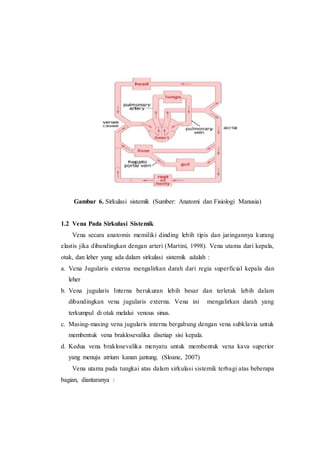Gambar 6. Sirkulasi sistemik (Sumber: Anatomi dan Fisiologi Manusia)
1.2 Vena Pada Sirkulasi Sistemik
Vena secara anatomis memiliki dinding lebih tipis dan jaringannya kurang
elastis jika dibandingkan dengan arteri (Martini, 1998). Vena utama dari kepala,
otak, dan leher yang ada dalam sirkulasi sistemik adalah :
a. Vena Jugularis externa mengalirkan darah dari regia superficial kepala dan
leher
b. Vena jugularis Interna berukuran lebih besar dan terletak lebih dalam
dibandingkan vena jugularis externa. Vena ini mengalirkan darah yang
terkumpul di otak melalui venous sinus.
c. Masing-masing vena jugularis interna bergabung dengan vena subklavia untuk
membentuk vena braklosevalika disetiap sisi kepala.
d. Kedua vena braklosevalika menyatu untuk membentuk vena kava superior
yang menuju atrium kanan jantung. (Sloane, 2007)
Vena utama pada tungkai atas dalam sirkulasi sistemik terbagi atas beberapa
bagian, diantaranya :
 