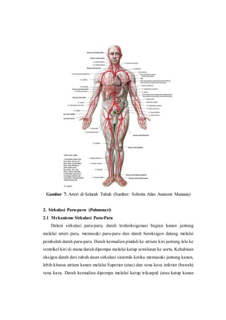 Gambar 7. Arteri di Seluruh Tubuh (Sumber: Sobotta Atlas Anatomi Manusia)
2. Sirkulasi Paru-paru (Pulmonari)
2.1 Mekanisme Sirkulasi Paru-Paru
Dalam sirkulasi paru-paru, darah terdeoksigenasi bagian kanan jantung
melalui arteri paru, memasuki paru-paru dan darah beroksigen datang melalui
pembuluh darah paru-paru. Darah kemudian pindah ke atrium kiri jantung lalu ke
ventrikel kiri di mana darah dipompa melalui katup semilunar ke aorta. Kehabisan
oksigen darah dari tubuh daun sirkulasi sistemik ketika memasuki jantung kanan,
lebih khusus atrium kanan melalui Superior (atas) dan vena kava inferior (bawah)
vena kava. Darah kemudian dipompa melalui katup trikuspid (atau katup kanan
 