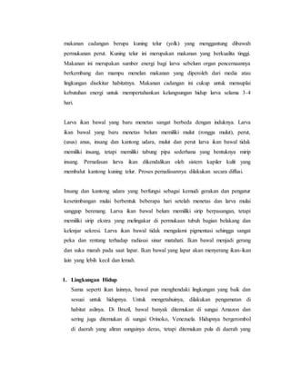 makanan cadangan berupa kuning telur (yolk) yang menggantung dibawah
permukanan perut. Kuning telur ini merupakan makanan yang berkualita tinggi.
Makanan ini merupakan sumber energi bagi larva sebelum organ pencernaannya
berkembang dan mampu menelan makanan yang diperoleh dari media atau
lingkungan disekitar habitatnya. Makanan cadangan ini cukup untuk mensuplai
kebutuhan energi untuk mempertahankan kelangsungan hidup larva selama 3-4
hari.
Larva ikan bawal yang baru menetas sangat berbeda dengan induknya. Larva
ikan bawal yang baru menetas belum memiliki mulut (rongga mulut), perut,
(usus) anus, insang dan kantong udara, mulut dan perut larva ikan bawal tidak
memiliki insang, tetapi memiliki tabung pipa sederhana yang bentuknya mirip
insang. Pernafasan larva ikan dikendalikan oleh sistem kapiler kulit yang
membalut kantong kuning telur. Proses pernafasannya dilakukan secara diffusi.
Insang dan kantong udara yang berfungsi sebagai kemudi gerakan dan pengatur
kesetimbangan mulai berbentuk beberapa hari setelah menetas dan larva mulai
sanggup berenang. Larva ikan bawal belum memiliki sirip berpasangan, tetapi
memiliki sirip ekstra yang melingakar di permukaan tubuh bagian belakang dan
kelenjar sekresi. Larva ikan bawal tidak mengalami pigmentasi sehingga sangat
peka dan rentang terhadap radiasai sinar matahati. Ikan bawal menjadi gerang
dan suka marah pada saat lapar. Ikan bawal yang lapar akan menyerang ikan-ikan
lain yang lebih kecil dan lemah.
1. Lingkungan Hidup
Sama seperti ikan lainnya, bawal pun menghendaki lingkungan yang baik dan
sesuai untuk hidupnya. Untuk mengetahuinya, dilakukan pengamatan di
habitat aslinya. Di Brazil, bawal banyak ditemukan di sungai Amazon dan
sering juga ditemukan di sungai Orinoko, Venezuela. Hidupnya bergerombol
di daerah yang aliran sungainya deras, tetapi ditemukan pula di daerah yang
 