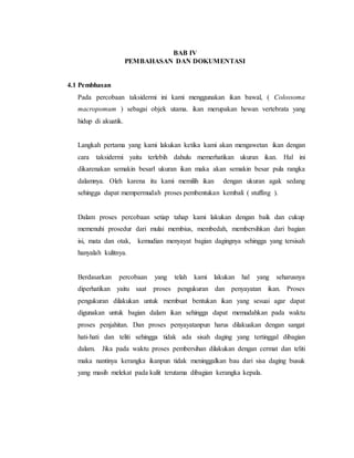 BAB IV
PEMBAHASAN DAN DOKUMENTASI
4.1 Pembhasan
Pada percobaan taksidermi ini kami menggunakan ikan bawal, ( Colossoma
macropomum ) sebagai objek utama. ikan merupakan hewan vertebrata yang
hidup di akuatik.
Langkah pertama yang kami lakukan ketika kami akan mengawetan ikan dengan
cara taksidermi yaitu terlebih dahulu memerhatikan ukuran ikan. Hal ini
dikarenakan semakin besarl ukuran ikan maka akan semakin besar pula rangka
dalamnya. Oleh karena itu kami memilih ikan dengan ukuran agak sedang
sehingga dapat mempermudah proses pembentukan kembali ( stuffing ).
Dalam proses percobaan setiap tahap kami lakukan dengan baik dan cukup
memenuhi prosedur dari mulai membius, membedah, membersihkan dari bagian
isi, mata dan otak, kemudian menyayat bagian dagingnya sehingga yang tersisah
hanyalah kulitnya.
Berdasarkan percobaan yang telah kami lakukan hal yang seharusnya
diperhatikan yaitu saat proses pengukuran dan penyayatan ikan. Proses
pengukuran dilakukan untuk membuat bentukan ikan yang sesuai agar dapat
digunakan untuk bagian dalam ikan sehingga dapat memudahkan pada waktu
proses penjahitan. Dan proses penyayatanpun harus dilakuakan dengan sangat
hati-hati dan teliti sehingga tidak ada sisah daging yang tertinggal dibagian
dalam. Jika pada waktu proses pembersihan dilakukan dengan cermat dan teliti
maka nantinya kerangka ikanpun tidak meninggalkan bau dari sisa daging busuk
yang masih melekat pada kulit terutama dibagian kerangka kepala.
 