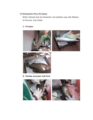 4.2 Dokumentasi Proses Percobaan
Berikut beberapa hasil dari dokumentasi dari praktikum yang telah dilakukan
di Universitas Gaja Madah.
A. Persiapan
B. Skinning (penyiapan kulit ikan)
 