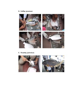D. Stuffing (penataan)
E. Mounting (peletakan)
 