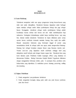 BAB I
PENDAHULUAN
1.1 Latar Belakang
Taksidermi merupakan salah satu upaya pengawetan kering hewan-hewan yang
telah mati untuk ditampilkan. Taksidermi biasanya digunakan untuk berbagai
tujuan misalnya sebagai media dalam pembelajaran biologi dan juga sebagai
hiasan. Keunggulan taksidermi sebagai media pembelajaran biologi adalah
keasliannya karena terbuat dari hewan asli dan tidak membahayakan bagi
mahasiswa. Sedangkan kelemahannya adalah hanya morfologi hewan saja yang
bias diamati melalui taksidermi. Taksidermi ini dapat dilakukan pada semua
spesies hewan vertebrata termasuk mamalia, burung, ikan, reptil, dan amfibi.
Banyak masyarakat Indonesia yang bertempat tinggal di pesisir yang
memanfaatkan teknik ini sebagai salah satu upaya untuk mengawetkan binatang-
binatang laut sebagai kerajinan ataupun hiasan yang biasanya mereka jual.
Namun cara-cara yang digunakan masih sederhana sehingga hasil yang
didapatkan masih berbeda jauh dengan buatan negara lain. Taksidermi ikan yang
kami lakukan pada Praktikum Kuliah Lapangan (PKL) yang diadakan di
laboratorium Fakultas Biologi Universitas Gadjah Madah Yogyakarta dilakukan
dengan menggunakan beberapa teknik, yaitu: 1) persiapan ikan, peralatan serta
bahan-bahan yang diperlukan; 2) melakukan proses skinning, preserving, stuffing
dan mounting.
1.2 Tujuan Praktikum
1. Untuk mengetahui cara pembuatan taksidermi
2. Untuk mengetahui kerangka tulang pada salah satu jenis hewan vertebrata
yaitu ikan bawal
 