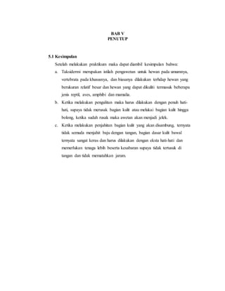 BAB V
PENUTUP
5.1 Kesimpulan
Setelah melakukan praktikum maka dapat diambil kesimpulan bahwa:
a. Taksidermi merupakan istilah pengawetan untuk hewan pada umumnya,
vertebrata pada khususnya, dan biasanya dilakukan terhdap hewan yang
berukuran relatif besar dan hewan yang dapat dikuliti termasuk beberapa
jenis reptil, aves, amphibi dan mamalia.
b. Ketika melakukan pengulitan maka harus dilakukan dengan penuh hati-
hati, supaya tidak merusak bagian kulit atau melukai bagian kulit hingga
bolong, ketika sudah rusak maka awetan akan menjadi jelek.
c. Ketika melakukan penjahitan bagian kulit yang akan disambung, ternyata
tidak semuda menjahit baju dengan tangan, bagian dasar kulit bawal
ternyata sangat keras dan harus dilakukan dengan eksta hati-hati dan
memerlukan tenaga lebih beserta kesabaran supaya tidak tertusuk di
tangan dan tidak mematahkan jarum.
 