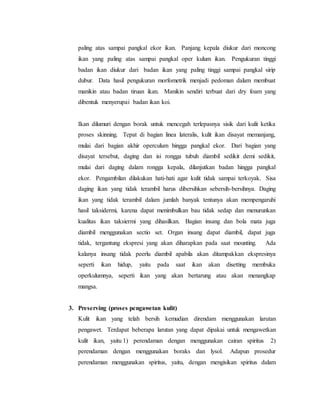 paling atas sampai pangkal ekor ikan. Panjang kepala diukur dari moncong
ikan yang paling atas sampai pangkal oper kulum ikan. Pengukuran tinggi
badan ikan diukur dari badan ikan yang paling tinggi sampai pangkal sirip
dubur. Data hasil pengukuran morfometrik menjadi pedoman dalam membuat
manikin atau badan tiruan ikan. Manikin sendiri terbuat dari dry foam yang
dibentuk menyerupai badan ikan koi.
Ikan dilumuri dengan borak untuk mencegah terlepasnya sisik dari kulit ketika
proses skinning. Tepat di bagian linea lateralis, kulit ikan disayat memanjang,
mulai dari bagian akhir operculum hingga pangkal ekor. Dari bagian yang
disayat tersebut, daging dan isi rongga tubuh diambil sedikit demi sedikit,
mulai dari daging dalam rongga kepala, dilanjutkan badan hingga pangkal
ekor. Pengambilan dilakukan hati-hati agar kulit tidak sampai terkoyak. Sisa
daging ikan yang tidak terambil harus dibersihkan sebersih-bersihnya. Daging
ikan yang tidak terambil dalam jumlah banyak tentunya akan mempengaruhi
hasil taksidermi, karena dapat menimbulkan bau tidak sedap dan menurunkan
kualitas ikan taksiermi yang dihasilkan. Bagian insang dan bola mata juga
diambil menggunakan sectio set. Organ insang dapat diambil, dapat juga
tidak, tergantung ekspresi yang akan diharapkan pada saat mounting. Ada
kalanya insang tidak peerlu diambil apabila akan ditampakkan ekspresinya
seperti ikan hidup, yaitu pada saat ikan akan disetting membuka
operkulumnya, seperti ikan yang akan bertarung atau akan menangkap
mangsa.
3. Preserving (proses pengawetan kulit)
Kulit ikan yang telah bersih kemudian direndam menggunakan larutan
pengawet. Terdapat beberapa larutan yang dapat dipakai untuk mengawetkan
kulit ikan, yaitu 1) perendaman dengan menggunakan cairan spiritus 2)
perendaman dengan menggunakan boraks dan lysol. Adapun prosedur
perendaman menggunakan spiritus, yaitu, dengan mengisikan spiritus dalam
 
