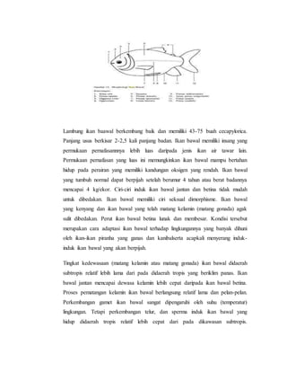 Lambung ikan baawal berkembang baik dan memiliki 43-75 buah cecapylorica.
Panjang usus berkisar 2-2,5 kali panjang badan. Ikan bawal memiliki insang yang
permukaan pernafasannnya lebih luas daripada jenis ikan air tawar lain.
Permukaan pernafasan yang luas ini memungkinkan ikan bawal mampu bertahan
hidup pada perairan yang memiliki kandungan oksigen yang rendah. Ikan bawal
yang tumbuh normal dapat berpijah setelah berumur 4 tahun atau berat badannya
mencapai 4 kg/ekor. Ciri-ciri induk ikan bawal jantan dan betina tidak mudah
untuk dibedakan. Ikan bawal memiliki ciri seksual dimorphisme. Ikan bawal
yang kenyang dan ikan bawal yang telah matang kelamin (matang gonada) agak
sulit dibedakan. Perut ikan bawal betina lunak dan membesar. Kondisi tersebut
merupakan cara adaptasi ikan bawal terhadap lingkungannya yang banyak dihuni
oleh ikan-ikan piranha yang ganas dan kanibalserta acapkali menyerang induk-
induk ikan bawal yang akan berpijah.
Tingkat kedewasaan (matang kelamin atau matang gonada) ikan bawal didaerah
subtropis relatif lebih lama dari pada didaerah tropis yang beriklim panas. Ikan
bawal jantan mencapai dewasa kelamin lebih cepat daripada ikan bawal betina.
Proses pematangan kelamin ikan bawal berlangsung relatif lama dan pelan-pelan.
Perkembangan gamet ikan bawal sangat dipengaruhi oleh suhu (temperatur)
lingkungan. Tetapi perkembangan telur, dan sperma induk ikan bawal yang
hidup didaerah tropis relatif lebih cepat dari pada dikawasan subtropis.
 