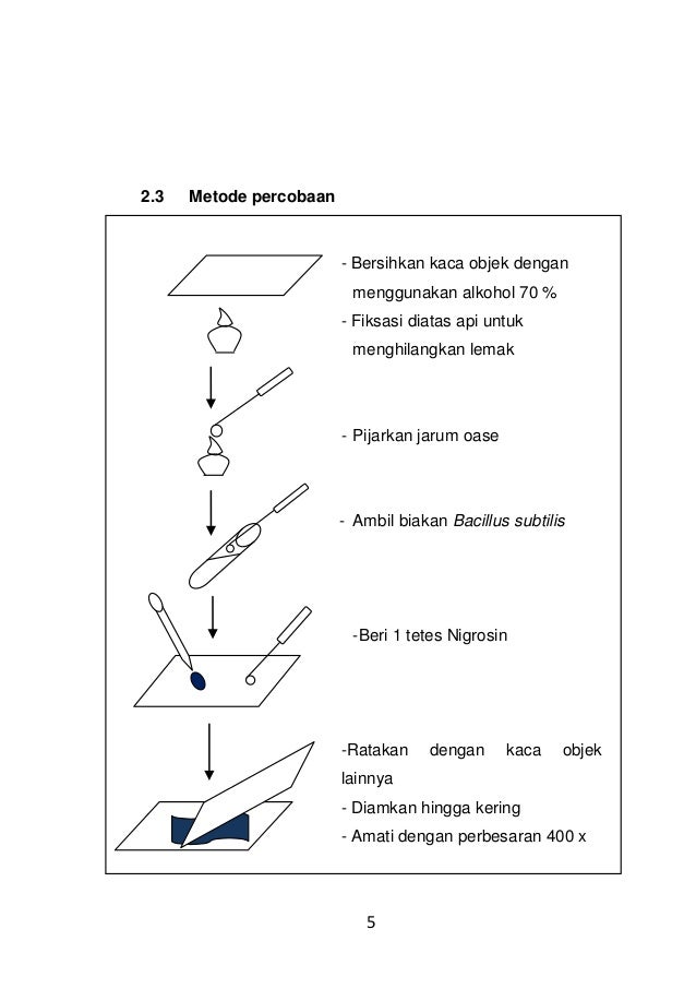 Laporan Utama Pewarnaan Negatif