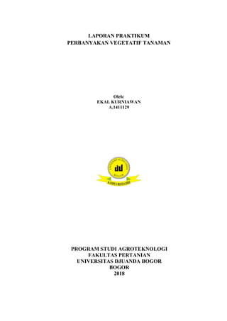 LAPORAN PRAKTIKUM
PERBANYAKAN VEGETATIF TANAMAN
Oleh:
EKAL KURNIAWAN
A.1411129
PROGRAM STUDI AGROTEKNOLOGI
FAKULTAS PERTANIAN
UNIVERSITAS DJUANDA BOGOR
BOGOR
2018
 