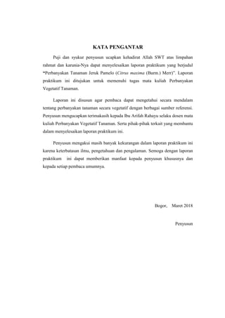 KATA PENGANTAR
Puji dan syukur penyusun ucapkan kehadirat Allah SWT atas limpahan
rahmat dan karunia-Nya dapat menyelesaikan laporan praktikum yang berjudul
“Perbanyakan Tanaman Jeruk Pamelo (Citrus maxima (Burm.) Merr)”. Laporan
praktikum ini ditujukan untuk memenuhi tugas mata kuliah Perbanyakan
Vegetatif Tanaman.
Laporan ini disusun agar pembaca dapat mengetahui secara mendalam
tentang perbanyakan tanaman secara vegetatif dengan berbagai sumber referensi.
Penyusun mengucapkan terimakasih kepada Ibu Arifah Rahayu selaku dosen mata
kuliah Perbanyakan Vegetatif Tanaman. Serta pihak-pihak terkait yang membantu
dalam menyelesaikan laporan praktikum ini.
Penyusun mengakui masih banyak kekurangan dalam laporan praktikum ini
karena keterbatasan ilmu, pengetahuan dan pengalaman. Semoga dengan laporan
praktikum ini dapat memberikan manfaat kepada penyusun khususnya dan
kepada setiap pembaca umumnya.
Bogor, Maret 2018
Penyusun
 