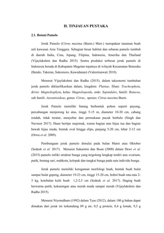 II. TINJAUAN PUSTAKA
2.1. Botani Pamelo
Jeruk Pamelo (Citrus maxima (Burm.) Merr.) merupakan tanaman buah
asli kawasan Asia Tenggara. Sebagian besar habitat dan sebaran pamelo tumbuh
di daerah India, Cina, Jepang, Filipina, Indonesia, Amerika dan Thailand
(Vijaylakshmi dan Radha 2015). Sentra produksi terbesar jeruk pamelo di
Indonesia berada di Kabupaten Magetan tepatnya di wilayah Kecamatan Betasuka
(Bendo, Takeran, Sukomoro, Kawedanan) (Valentinawati 2010).
Menurut Vijaylakshmi dan Radha (2015), dalam taksonomi tumbuhan
jeruk pamelo diklasifikasikan dalam, kingdom: Plantae, filum: Tracheophyta,
divisi: Magnoliophyta, kelas: Magnoliopsida, ordo: Sapindales, famili: Rutacea,
sub famili: Aurantioideae, genus: Citrus, spesies: Citrus maxima Burm.
Jeruk Pamelo memiliki batang berbentuk pohon seperti payung,
percabangan menjorong ke atas, tinggi 5-15 m, diameter 10-30 cm, cabang
rendah, tidak teratur, menyebar dan permukaan pucuk berbulu (Singh dan
Navneet 2017). Daun bertipe majemuk, warna bagian atas hijau tua dan bagian
bawah hijau muda, bentuk oval hingga elips, panjang 5-20 cm, lebar 2-12 cm
(Orwa et al. 2009).
Pembungaan jeruk pamelo dimulai pada bulan Maret atau Oktober
(Sedeek et al. 2017). Menurut Sukarmin dan Ihsan (2008) dalam Dewi et al.
(2015) pamelo miliki struktur bunga yang tergolong lengkap terdiri atas ovarium,
putik, benang sari, mahkota, kelopak dan tangkai bunga pada satu individu bunga.
Jeruk pamelo memiliki keragaman morfologi buah, bentuk buah bulat
sampai bulat gepeng, diameter 19-23 cm, tinggi 15-20 cm, bobot buah rata-rata 2-
3 kg, ketebalan kulit buah 1,2-2,5 cm (Sedeek et al. 2017). Daging buah
berwarna putih, kekuningan atau merah muda sampai merah (Vijaylakshmi dan
Radha 2015).
Menurut Niyomdham (1992) dalam Tyas (2012), dalam 100 g bahan dapat
dimakan dari jeruk ini terkandung 89 g air, 0,5 g protein, 0,4 g lemak, 9,3 g
 