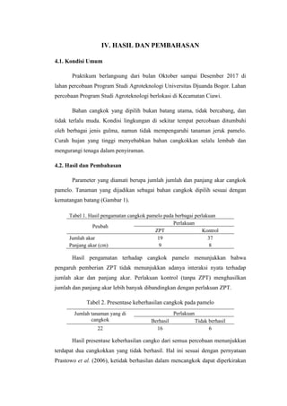 IV. HASIL DAN PEMBAHASAN
4.1. Kondisi Umum
Praktikum berlangsung dari bulan Oktober sampai Desember 2017 di
lahan percobaan Program Studi Agroteknologi Universitas Djuanda Bogor. Lahan
percobaan Program Studi Agroteknologi berlokasi di Kecamatan Ciawi.
Bahan cangkok yang dipilih bukan batang utama, tidak bercabang, dan
tidak terlalu muda. Kondisi lingkungan di sekitar tempat percobaan ditumbuhi
oleh berbagai jenis gulma, namun tidak mempengaruhi tanaman jeruk pamelo.
Curah hujan yang tinggi menyebabkan bahan cangkokkan selalu lembab dan
mengurangi tenaga dalam penyiraman.
4.2. Hasil dan Pembahasan
Parameter yang diamati berupa jumlah jumlah dan panjang akar cangkok
pamelo. Tanaman yang dijadikan sebagai bahan cangkok dipilih sesuai dengan
kematangan batang (Gambar 1).
Tabel 1. Hasil pengamatan cangkok pamelo pada berbagai perlakuan
Peubah
Perlakuan
ZPT Kontrol
Jumlah akar 19 37
Panjang akar (cm) 9 8
Hasil pengamatan terhadap cangkok pamelo menunjukkan bahwa
pengaruh pemberian ZPT tidak menunjukkan adanya interaksi nyata terhadap
jumlah akar dan panjang akar. Perlakuan kontrol (tanpa ZPT) menghasilkan
jumlah dan panjang akar lebih banyak dibandingkan dengan perlakuan ZPT.
Tabel 2. Presentase keberhasilan cangkok pada pamelo
Jumlah tanaman yang di
cangkok
Perlakuan
Berhasil Tidak berhasil
22 16 6
Hasil presentase keberhasilan cangko dari semua percobaan menunjukkan
terdapat dua cangkokkan yang tidak berhasil. Hal ini sesuai dengan pernyataan
Prastowo et al. (2006), ketidak berhasilan dalam mencangkok dapat diperkirakan
 