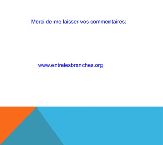 Merci de me laisser vos commentaires:




  www.entrelesbranches.org
 