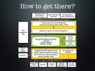 Towards a Simple, Standards-Compliant, and Generic Phylogenetic Database