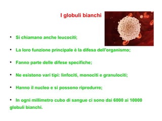 l-apparato-circolatorio-ppt