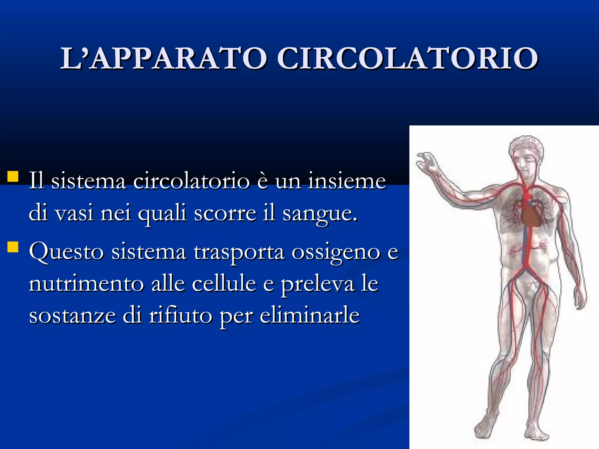 L’apparato circolatorio - didattica differenziata | PPT
