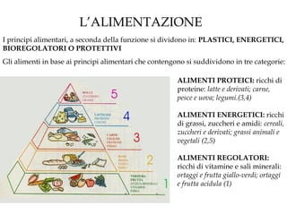 L’ALIMENTAZIONE
Gli alimenti in base ai principi alimentari che contengono si suddividono in tre categorie:
I principi alimentari, a seconda della funzione si dividono in: PLASTICI, ENERGETICI,
BIOREGOLATORI O PROTETTIVI
ALIMENTI PROTEICI: ricchi di
proteine: latte e derivati; carne,
pesce e uova; legumi.(3,4)
ALIMENTI ENERGETICI: ricchi
di grassi, zuccheri e amidi: cereali,
zuccheri e derivati; grassi animali e
vegetali (2,5)
ALIMENTI REGOLATORI:
ricchi di vitamine e sali minerali:
ortaggi e frutta giallo-verdi; ortaggi
e frutta acidula (1)
 