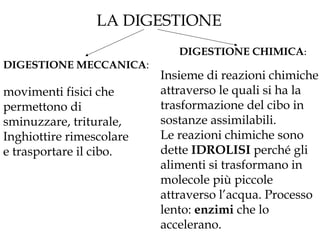 LA DIGESTIONE
DIGESTIONE MECCANICA:
movimenti fisici che
permettono di
sminuzzare, triturale,
Inghiottire rimescolare
e trasportare il cibo.
DIGESTIONE CHIMICA:
Insieme di reazioni chimiche
attraverso le quali si ha la
trasformazione del cibo in
sostanze assimilabili.
Le reazioni chimiche sono
dette IDROLISI perché gli
alimenti si trasformano in
molecole più piccole
attraverso l’acqua. Processo
lento: enzimi che lo
accelerano.
 