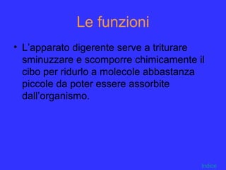 Le funzioni
• L’apparato digerente serve a triturare
sminuzzare e scomporre chimicamente il
cibo per ridurlo a molecole abbastanza
piccole da poter essere assorbite
dall’organismo.
Indice
 