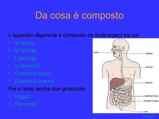 Da cosa è composto
L’apparato digerente è composto da molti organi tra cui:
• la bocca
• la faringe
• L’esofago
• lo stomaco
• l’intestino tenue
• l’intestino crasso
Poi ci sono anche due ghiandole:
• Fegato
• Pancreas
Indice
 