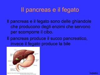 Il pancreas e il fegato
Il pancreas e il fegato sono delle ghiandole
che producono degli enzimi che servono
per scomporre il cibo.
Il pancreas produce il succo pancreatico,
invece il fegato produce la bile
Indietro
 