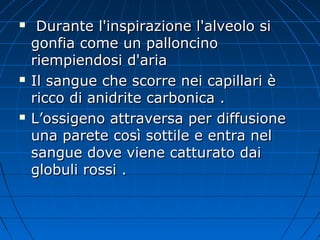 Durante l'inspirazione l'alveolo siDurante l'inspirazione l'alveolo si
gonfia come un palloncinogonfia come un palloncino
riempiendosi d'ariariempiendosi d'aria
 Il sangue che scorre nei capillari èIl sangue che scorre nei capillari è
ricco di anidrite carbonica .ricco di anidrite carbonica .
 L’ossigeno attraversa per diffusioneL’ossigeno attraversa per diffusione
una parete così sottile e entra neluna parete così sottile e entra nel
sangue dove viene catturato daisangue dove viene catturato dai
globuli rossi .globuli rossi .
 