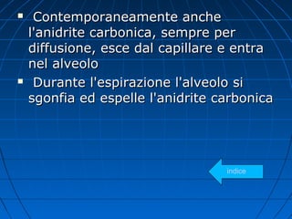  Contemporaneamente ancheContemporaneamente anche
l'anidrite carbonica, sempre perl'anidrite carbonica, sempre per
diffusione, esce dal capillare e entradiffusione, esce dal capillare e entra
nel alveolonel alveolo
 Durante l'espirazione l'alveolo siDurante l'espirazione l'alveolo si
sgonfia ed espelle l'anidrite carbonicasgonfia ed espelle l'anidrite carbonica
indice
 