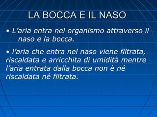 LA BOCCA E IL NASOLA BOCCA E IL NASO
• L’aria entra nel organismo attraverso il
naso e la bocca.
• l’aria che entra nel naso viene filtrata,
riscaldata e arricchita di umidità mentre
l’aria entrata dalla bocca non è né
riscaldata né filtrata.
 