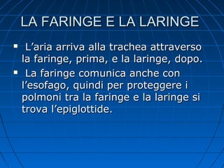 LA FARINGE E LA LARINGELA FARINGE E LA LARINGE
 L’aria arriva alla trachea attraversoL’aria arriva alla trachea attraverso
la faringe, prima, e la laringe, dopo.la faringe, prima, e la laringe, dopo.
 La faringe comunica anche conLa faringe comunica anche con
l’esofago, quindi per proteggere il’esofago, quindi per proteggere i
polmoni tra la faringe e la laringe sipolmoni tra la faringe e la laringe si
trova l’epiglottide.trova l’epiglottide.
 