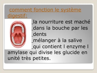 comment fonction le système
digestif:
la nourriture est maché
dans la bouche par les
dents
mélanger à la salive
qui contient l enzyme l
amylase qui divise les glucide en
unité très petites.
 