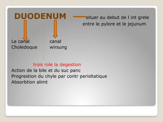 DUODENUM situer au debut de l int grele
entre le pylore et le jejunum
Le canal canal
Choledoque wirsung
trois role la degestion
Action de la bile et du suc panc
Progrestion du chyle par contr perisltatique
Absorbtion alimt
 