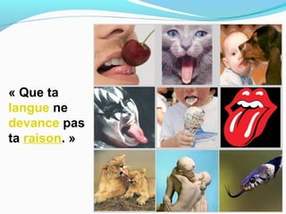 « Que ta 
langue ne 
devance pas 
ta raison. »
 