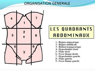 ORGANISATION GENERALE
 