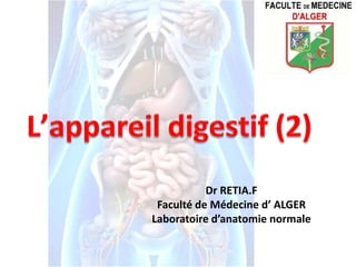 Dr RETIA.F
Faculté de Médecine d’ ALGER
Laboratoire d’anatomie normale
 