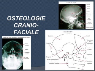OSTEOLOGIE
CRANIO-
FACIALE
 