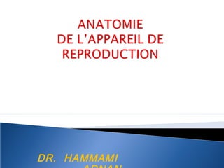 DR. HAMMAMI
 